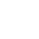 Southern Aminos icon